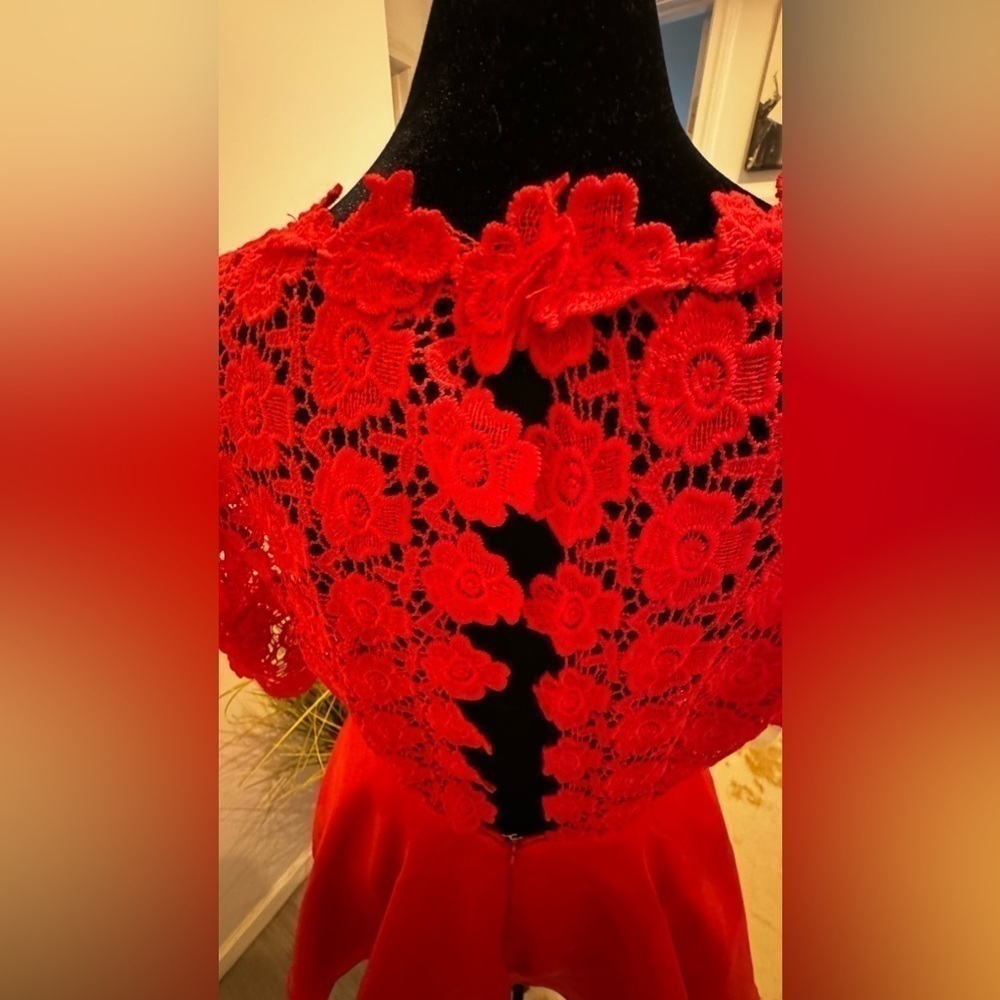 Red Lace and Satin Dress - Picture 6 of 12